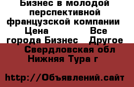 Бизнес в молодой перспективной французской компании › Цена ­ 30 000 - Все города Бизнес » Другое   . Свердловская обл.,Нижняя Тура г.